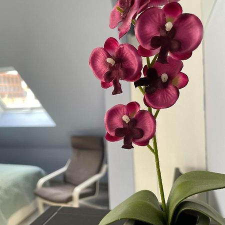 Deluxe Apartment فيسبادن المظهر الخارجي الصورة